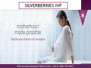 Silverberries IVF Treatment