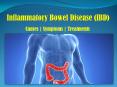 Inflammatory bowel disease: Problem that occurs in the gastrointestinal tract PowerPoint PPT Presentation