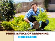 Gardening and landscaping maintenance, services in Dubai, UAE