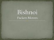 Bishnoi Packers movers Hisar
