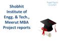 Shobhit Institute of Engg. & Tech., Meerut MBA Project reports PowerPoint PPT Presentation