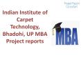 Indian Institute of Carpet Technology, Bhadohi, UP MBA Project reports PowerPoint PPT Presentation