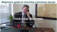 Business Litigation Lawyer