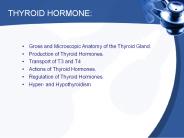 Thyroid Hormone Testing Waco