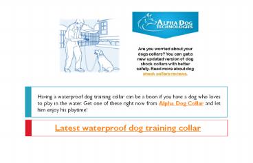 Latest waterproof dog training collar