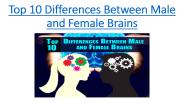 Top 10 Differences Between Male and Female Brains
