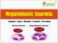 Megaloblastic Anaemia: Symptoms, causes, diagnosis, treatment and preventions. PowerPoint PPT Presentation