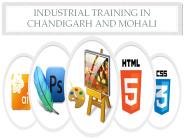 6 weeks industrial training in chandigarh