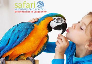 Safari Veterinary Care Center