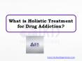 What is Holistic Treatment for Drug Addiction? PowerPoint PPT Presentation