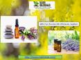 Essential Oil Suppliers - Buy Pure Essential Oils at Wholesale Prices (1)