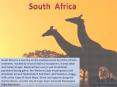 South Africa visitor visa - Contact Sanctum Consulting PowerPoint PPT Presentation