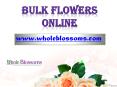 Bulk Flowers Online - Wholesale Flowers