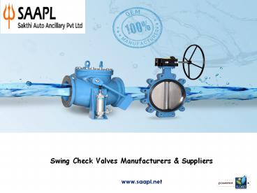 OEM Swing Check Valves Manufacturers