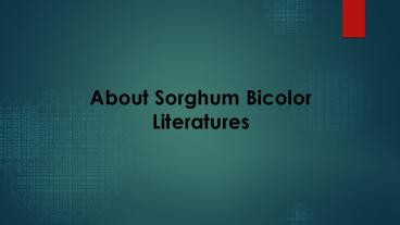 ABOUT TESTIMONIALS GALORE (5)