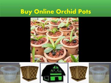 Buy Online Clear Orchid Pot
