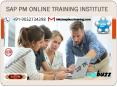 SAP PM ONLINE TRAINING|TRAINER|USA|HYDERABAD|BANGALORE|TUTORIAL PowerPoint PPT Presentation