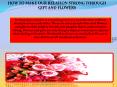 Florist In Delhi | Send Flowers To Delhi | Delhi Florist