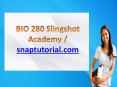 BIO 280 Slingshot Academy / snaptutorial.com PowerPoint PPT Presentation