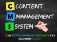 CMS Development Company USA PowerPoint PPT Presentation