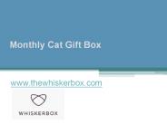 Monthly Cat Gift Box - www.thewhiskerbox.com