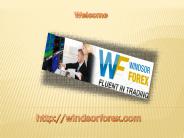 Best Forex Indicators Free Download