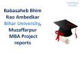 Babasaheb Bhim Rao Ambedkar Bihar University, Muzaffarpur  MBA Project reports PowerPoint PPT Presentation