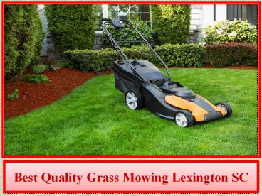 Best Quality Grass Mowing Lexington SC