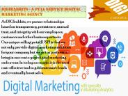 Professional SEO services