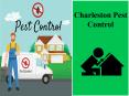 Charleston Pest Control & Termite Services PowerPoint PPT Presentation