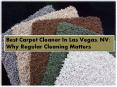 Best Carpet Cleaner In Las Vegas, NV: Why Regular Cleaning Matters PowerPoint PPT Presentation