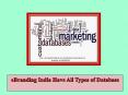 eBranding India Have All Types of Database PowerPoint PPT Presentation