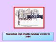 Guaranteed High Quality Database provider in India PowerPoint PPT Presentation