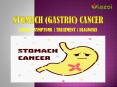 Stomach (Gastric) Cancer: Causes, symptoms, diagnosis, and treatment. PowerPoint PPT Presentation