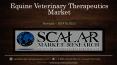 Equine Veterinary Therapeutics Market Forecast to 2022 | Scalar Market Research PowerPoint PPT Presentation