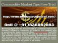 MCX Commodity Trading Tips Free Trial PowerPoint PPT Presentation