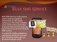 Best Bulk SMS Service Provider, PowerPoint PPT Presentation