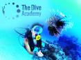 Padi Divemaster Course Thailand and Scuba Diving Center Koh Samui PowerPoint PPT Presentation