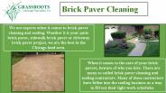 Brick Paver Cleaning