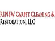 Always Choose Professional Mold Removal