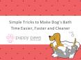 Simple Tips To Make Dog's Bath Time Easier, Faster, Cleaner PowerPoint PPT Presentation