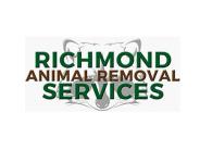 Expert Bat Removal Works Best