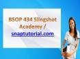 BSOP 434 Slingshot Academy / snaptutorial.com PowerPoint PPT Presentation