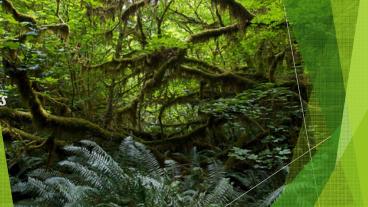 Gold Coast Must-Sees for Thrill Seekers