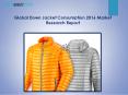 Global Down Jacket Consumption 2016 Market Research Report PowerPoint PPT Presentation