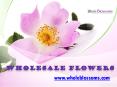 Wholesale Flowers - www.wholeblossoms.com PowerPoint PPT Presentation