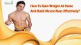 How To Gain Weight At Home And Build Muscle Mass Effectively? PowerPoint PPT Presentation