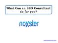 What Can an SEO Consultant do for you? PowerPoint PPT Presentation