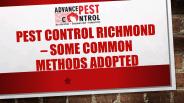 Pest control Richmond – Some Common Methods Adopted