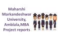 Maharshi Markandeshwar University, Amblala MBA Project reports PowerPoint PPT Presentation